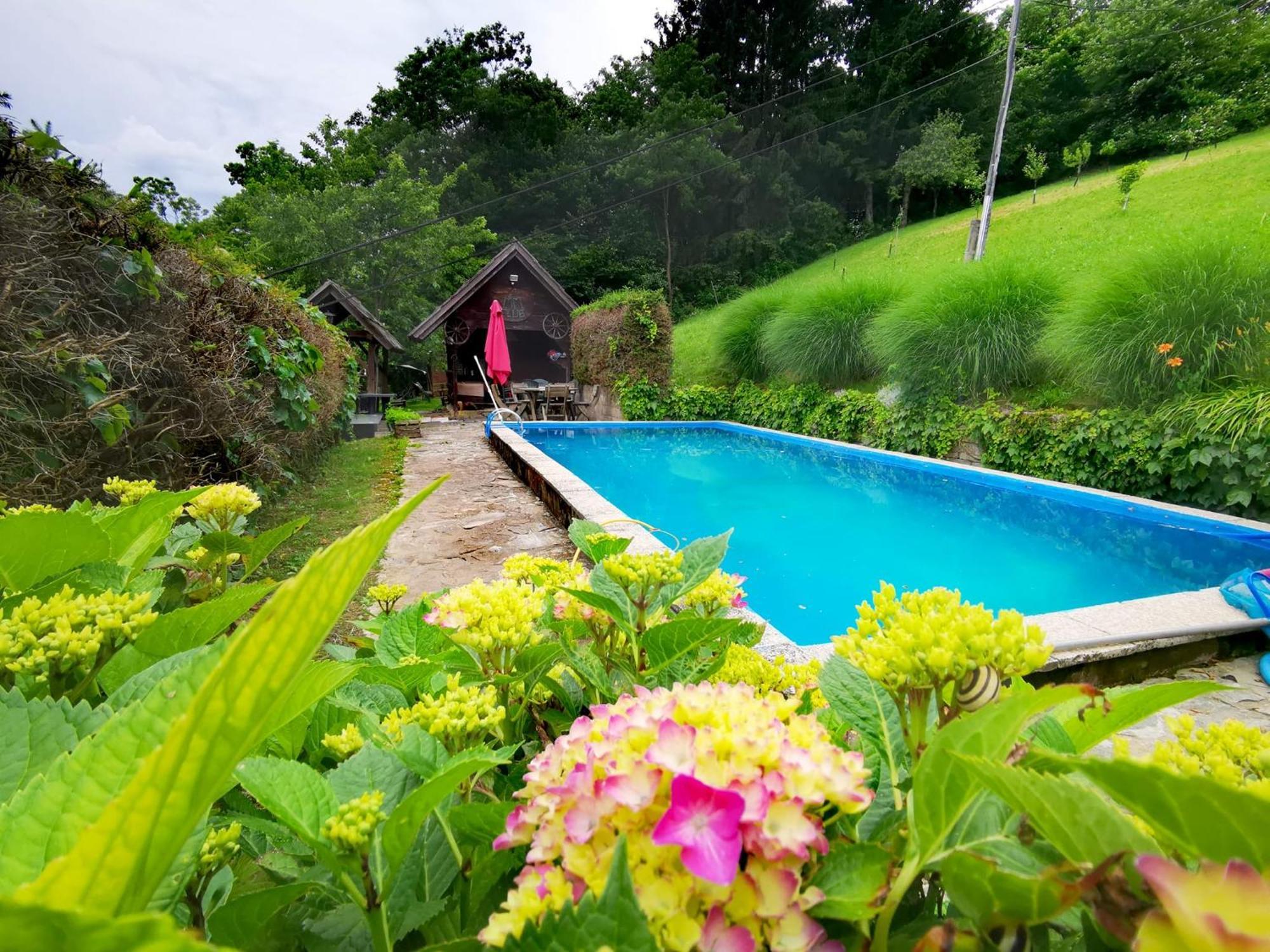 Glamping Mm Hotel Muta Ngoại thất bức ảnh